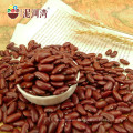 High qualtiy bigger size dark red kidney bean,2016 crop